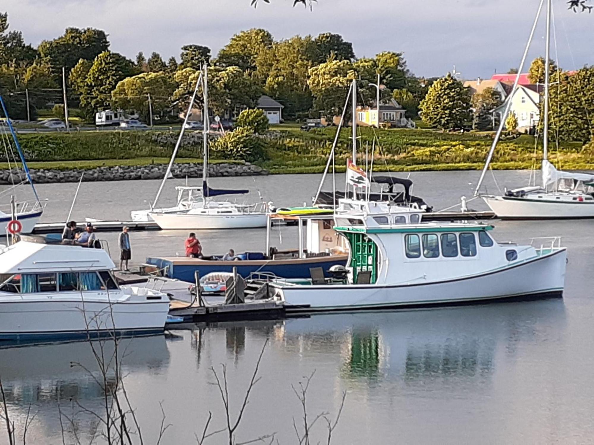 Apartmán Waterside Apts. Cardigan Exteriér fotografie